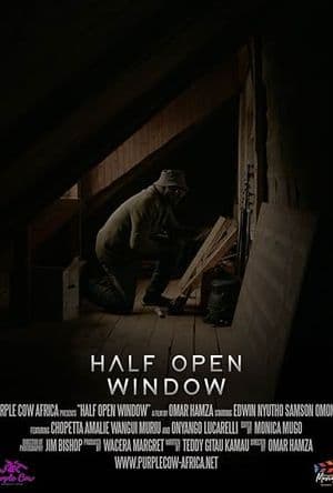Half Open Window