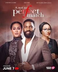 A Not So Perfect Match poster