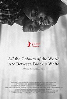 All the Colours of the World Are Between Black and White poster
