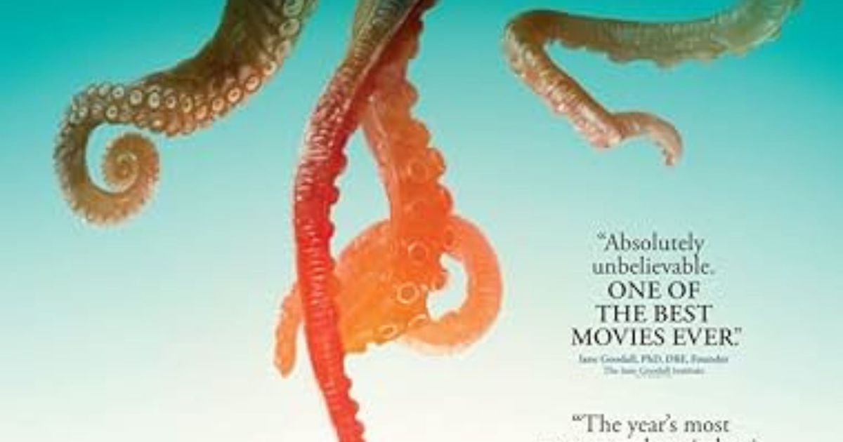 My Octopus Teacher hero image