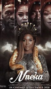 Nneka The Pretty Serpent poster