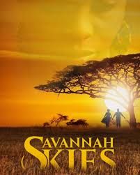 Savana Skies poster
