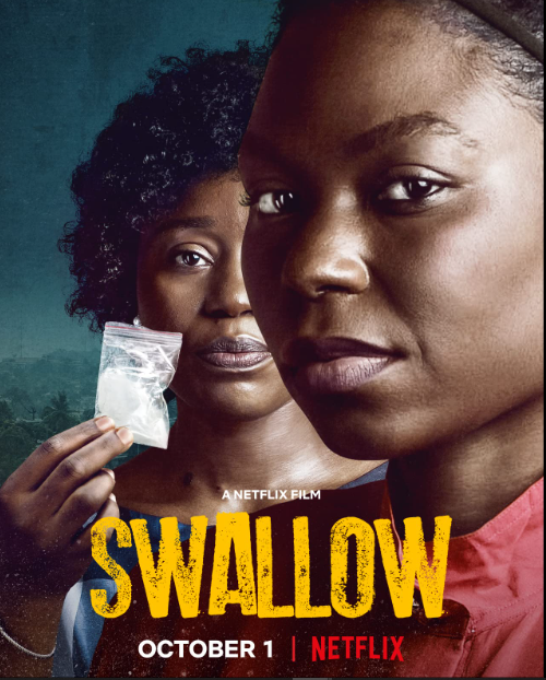 Swallow poster