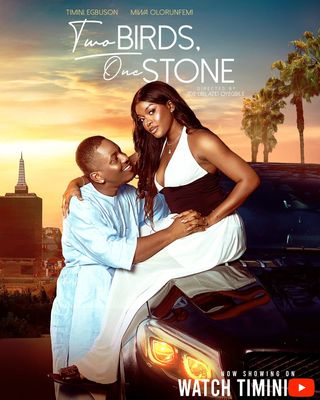 Two Birds, One Stone poster